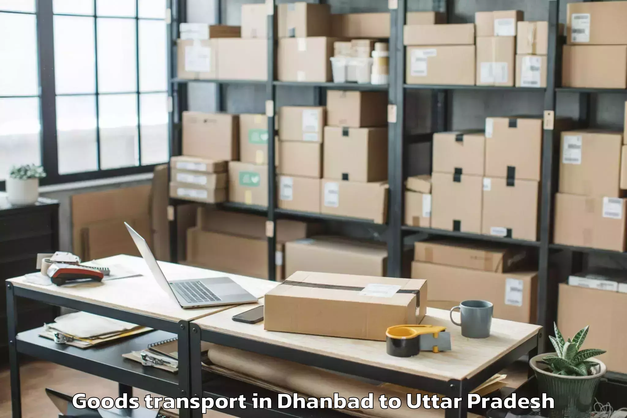 Get Dhanbad to Koraon Goods Transport